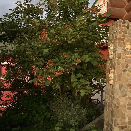 Kalina Holiday home *