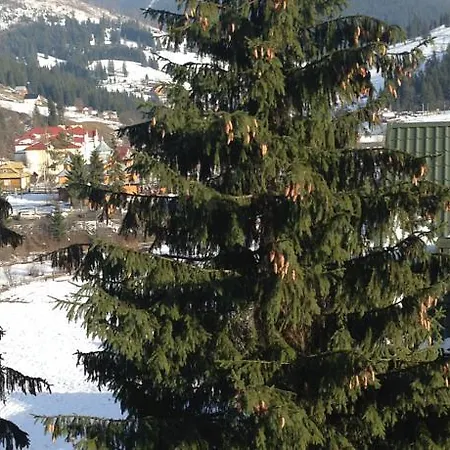 Kalina Holiday home Bukovel